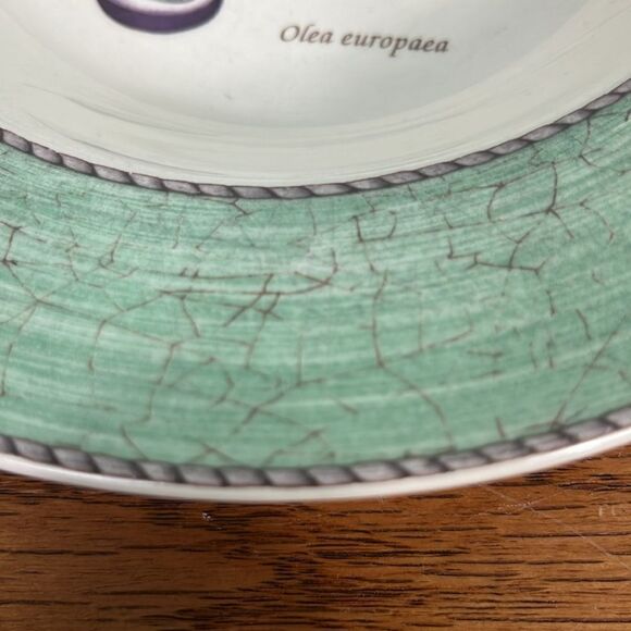 Wedgwood “Sarah’s Garden” Bowl Olea Europaea Olives - Picture 5 of 5